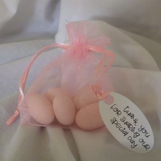 Sugar Almonds Organza Bag with Swing Tag